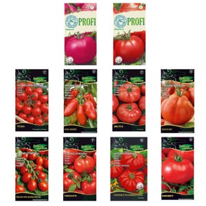Op de afbeelding: Een verzameling van 10 zaadzakjes voor verschillende soorten tomaten. De zakjes bevatten kleurrijke afbeeldingen van de tomaten en de namen van de soorten, waaronder Vilma, Eduardo, Brutus, Silvano, Principe Borghese, Uragan H, Costoluto Fiorentino en Fawortt.