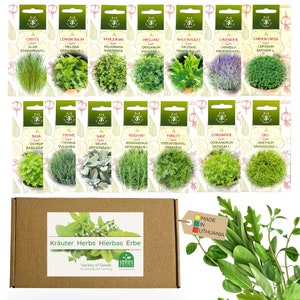 14 Premium Indoor Herb Seed Collection + Gift - Fresh Kitchen Herbs, High Germination, Easy to Grow