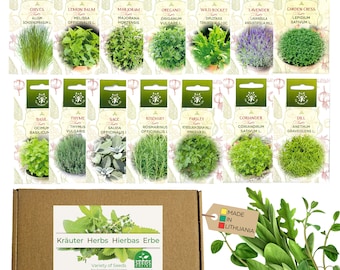 Kweek je eigen kruiden: 14 zaden van hoge kwaliteit en kiemkracht voor binnenshuis tuinieren