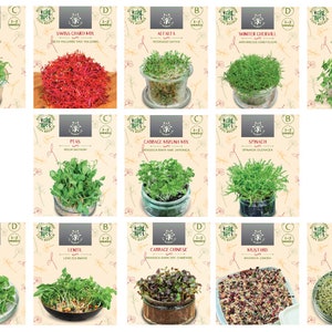 Ultimate Microgreens Sprouting Mix - 13 Seed Varieties for Nutrient-Packed Greens - Easy Home Growing
