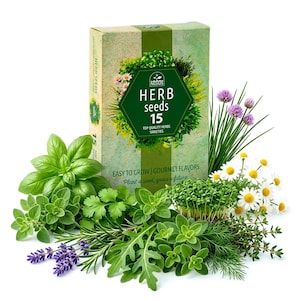 Puede incluir: Una caja rectangular de semillas de hierbas Nojus con una etiqueta hexagonal verde con el texto HERB seeds 15 TOP QUALITY HERBS VARIETIES. La caja está rodeada de albahaca fresca, cebollino, manzanilla, lavanda, romero y otras hierbas.