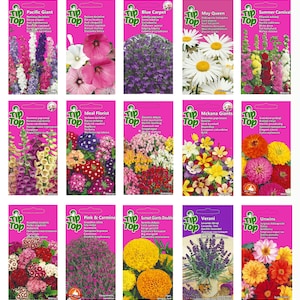 Collection enchanteresse de graines de fleurs par Nojus Seeds - Qualité supérieure, variétés diverses pour des jardins dynamiques