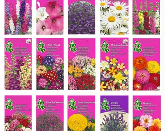 Incantevole collezione di semi di fiori di Nojus Seeds - Qualità premium, diverse varietà per giardini vivaci