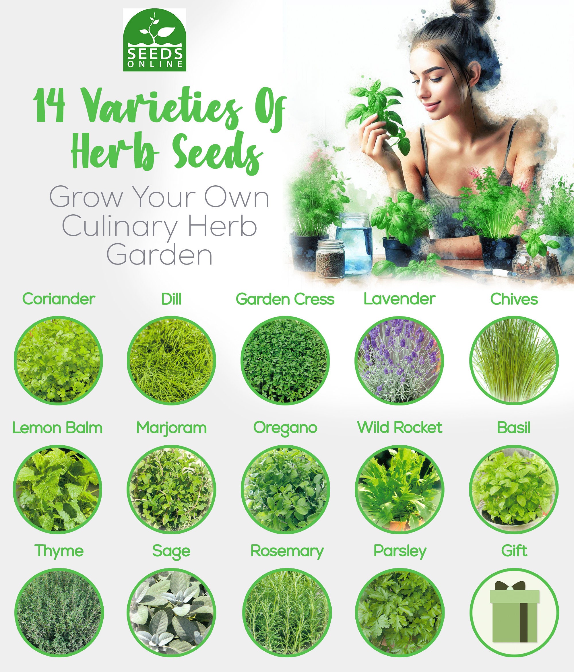 HERBAL AGE 12 Variétés de Plantes d'Herbes, 8700 Graines d'Herbes, Idée