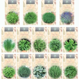 Collection de graines d'herbes aromatiques d'intérieur de qualité supérieure, 14 + 1 - herbes de cuisine fraîches, taux de germination élevé, faciles à cultiver