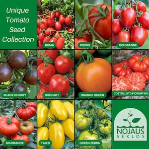 Unieke tomatenzaadcollectie - kweek Taiko, S.Pierre, Roma VF en meer - Non-GMO en hoge kiemkracht.