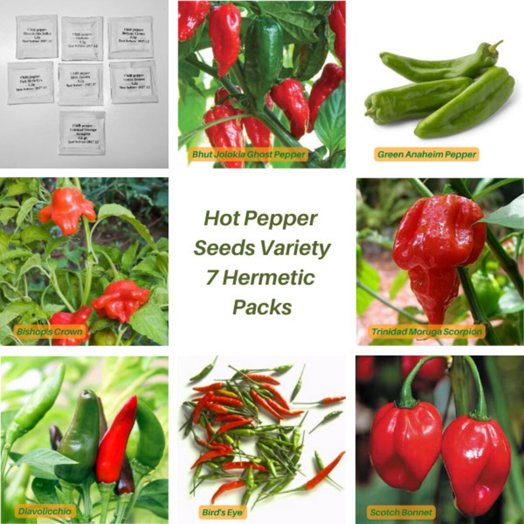 Hot and Spicy Pepper Seed Mix Pack High Germination Unique & Tasty Etsy