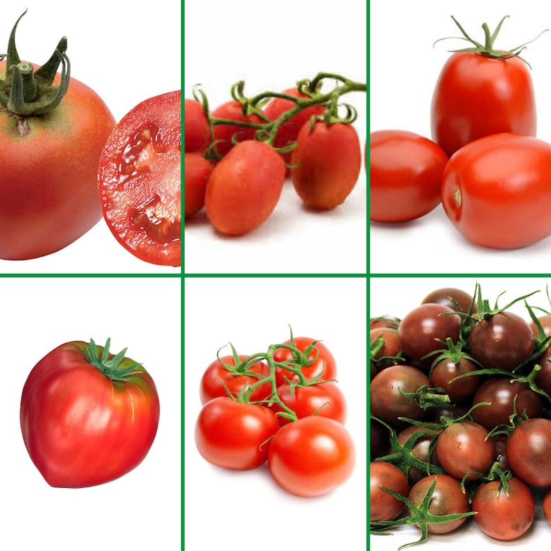 Reliquias Del Mundo – Pack De Semillas De Tomate Antiguo, 49 Variedades