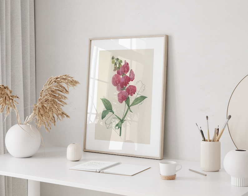 Botanical Prints Set of 6,floral Botanical Wall Art,flower Botanical