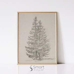 Pine Tree Drawing,Vintage Tree Sketch,Botanical Sketch Print,Christmas Tree Painting,Christmas Wall Art Printable,Holiday Christmas Print,41
