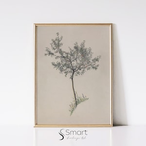 Apple Tree Drawing,Minimalist Botanical Art Print,Vintage Tree Sketch,Neutral Farmhouse Wall Art,Antique Botanical Prints,Printable Art,13