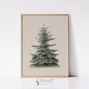 Vintage Christmas Tree Sketch: Botanical Winter Print (Digital Download)