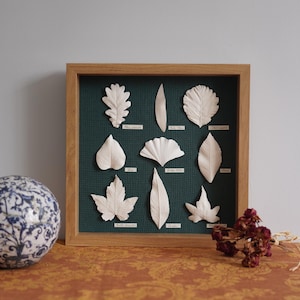 May include: A framed display of pressed white leaves on a green background. The leaves are arranged in a grid pattern and are labelled with their names. The frame is made of wood and has a light brown finish.