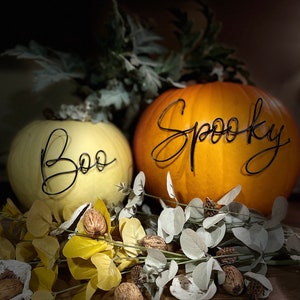 Pumpkin Decoration | Halloween Decoration | Boo | Spooky | Wire Words | Pumpkin Accessories