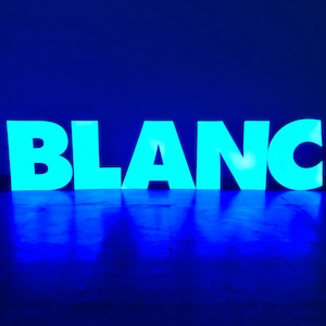 Customized 3D Front Lit Letters, Shop Light Up Signboards, Backlit Sign Logo, 3D Metal Channel Letters, Business Advertising Signs