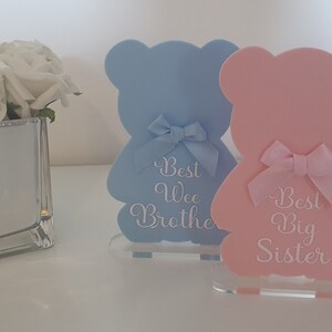 Placa de pelúcia personalizada, placa de pelúcia independente, decoração de berçário, presente de bebê, presente de chá de bebê, novo bebê, melhor irmão, melhor irmã