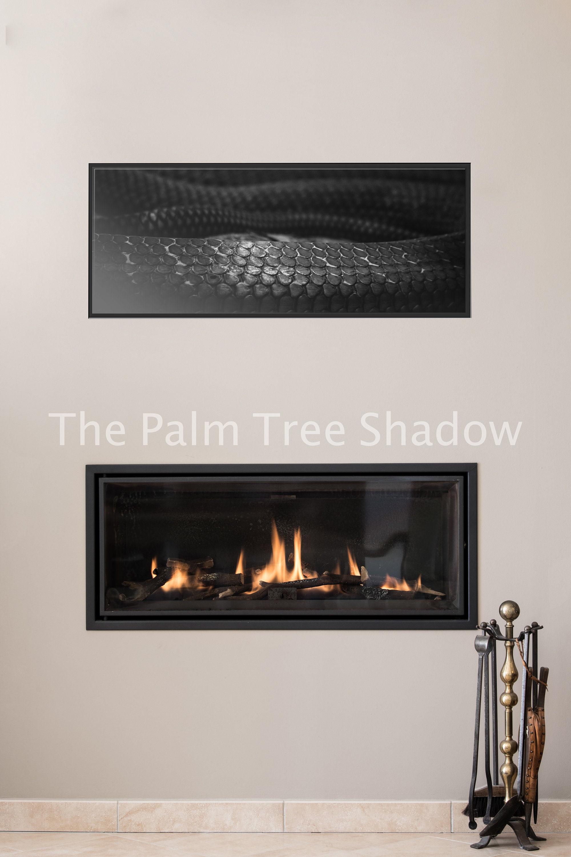 Photographie Texture Serpent