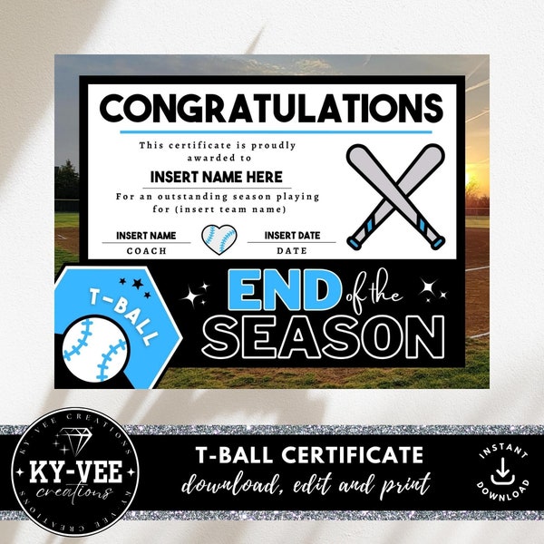 Funny Sports Award Certificate Etsy