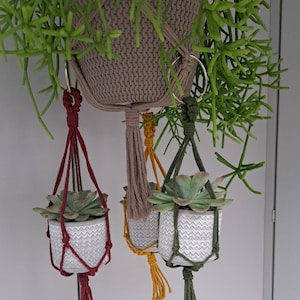 Könnte beinhalten: Drei Makramee-Pflanzenhänger mit Quasten in Rot, Grün und Gelb. Jeder Hänger hält einen kleinen weißen Keramiktopf mit einer Sukkulentenpflanze.