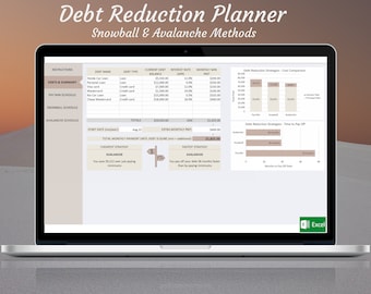 Schuldreductiecalculator en planner - Sneeuwbal- en lawinemethoden inbegrepen (Desert Rose Theme)