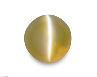 2.08 Ct. Chrysoberyl Cat&#39;s Eye - Mined in Sri Lanka - Certified by IGI - Round, 6.43 x 5.99 x 5.54 mm - Natural, Untreated - Greenish Yellow