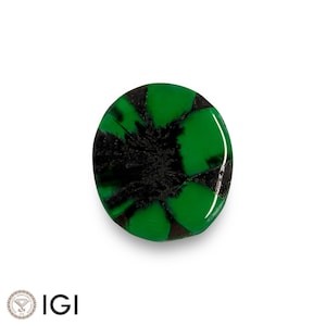 1.83 Ct. Trapiche Emerald - Mined in Colombia - Certified by IGI - Oval, 9.48 x 8.46 x 2.55 mm - Natural - “Royal Green”