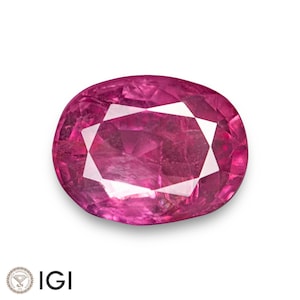 Peut inclure: Pierre précieuse rose vif de forme ovale, avec un intérieur facetté. La gemme a un aspect brillant et poli sur fond blanc. Le logo IGI est visible dans le coin inférieur gauche.