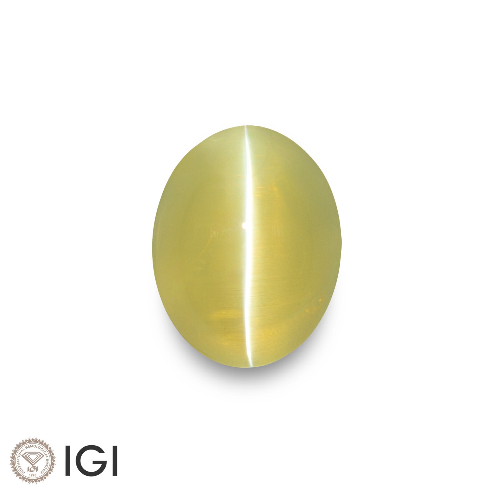 2.29 Ct. Chrysoberyl Cat's Eye - Mined in Sri Lanka - Certified by IGI - Oval, 8.41 x 6.53 x 4.35 mm - Natural, Untreated - Greenish Yellow