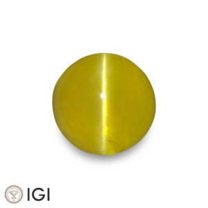 2.15 Ct. Chrysoberyl Cat's Eye - Mined in Sri Lanka - Certified by IGI - Round, 7.88 x 7.65 x 3.65 mm - Natural, Untreated - Yellowish Green