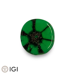 1.31 Ct. Trapiche Emerald - Mined in Colombia - Certified by IGI - Oval, 8.19 x 7.69 x 2.30 mm - Natural - “Royal Green”