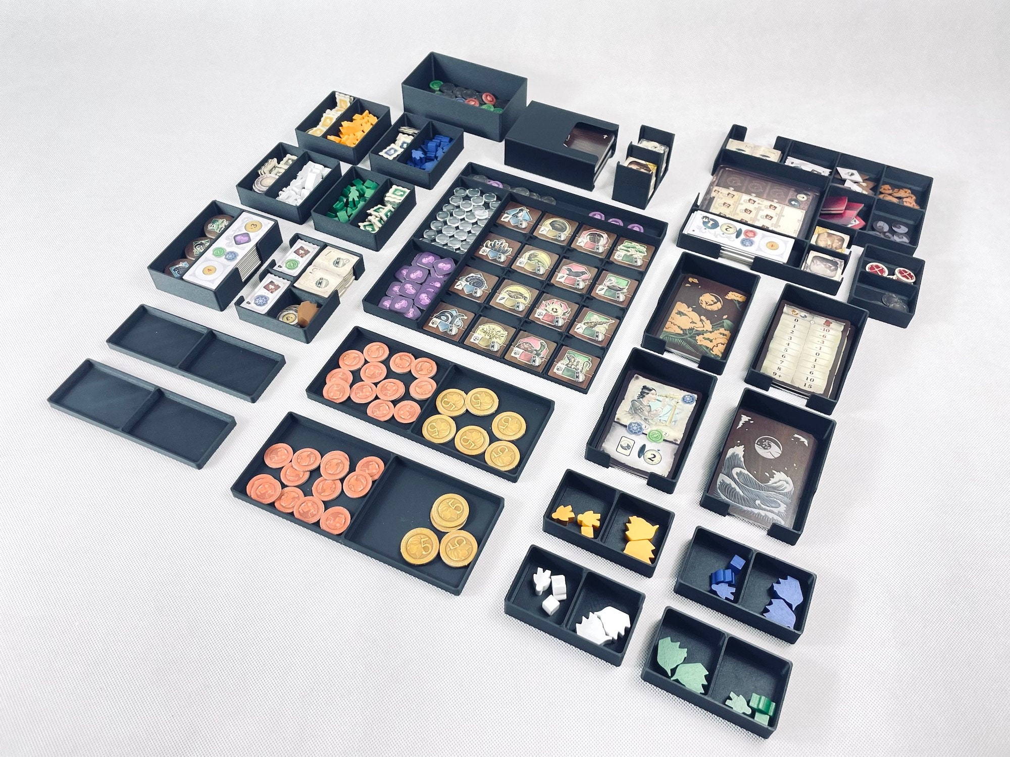 Darwin's Journey + Fireland Expansion Insert / Board Game