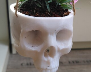 Puckator Fioriera Da Parete In Ceramica A Forma Di Teschio - Vaso Per Piantine Grasse, Decorazione Dark (Bianco, 12cm)