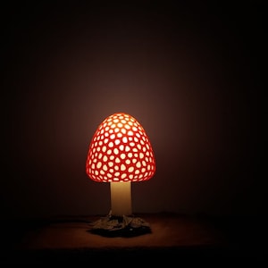 Lampada a fungo