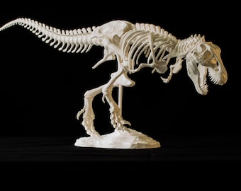 T-Rex Skeleton- Dinosaur Art- 3D Printed - Home Decor
