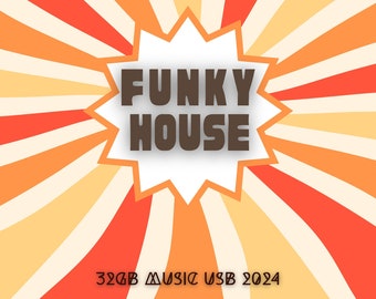 32gb Funky House 2024 - 27.3gb- This comes with 100gb of FREE music! DJ Friendly.