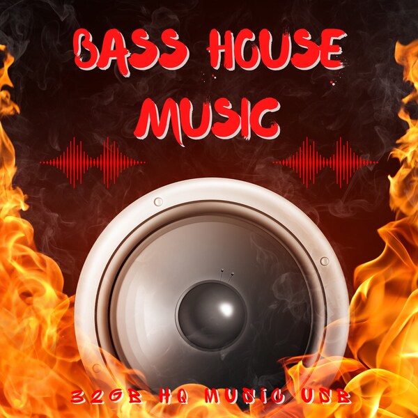 Bass House 32 Go - 2024 - 25,7 Go - Livré avec 100 Go de musique GRATUITE ! Adapté aux DJ.