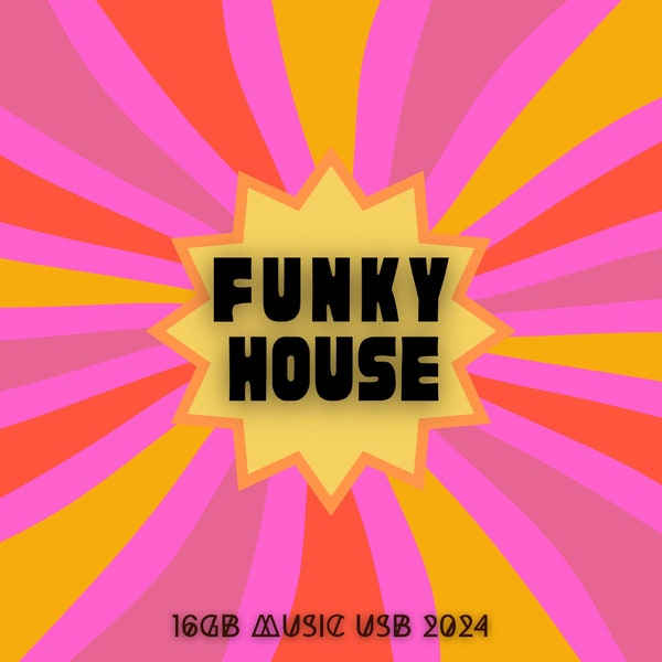 Funky House 16 Go - 2024 - 15 Go - Livré avec 100 Go de musique GRATUITE ! Adapté aux DJ.