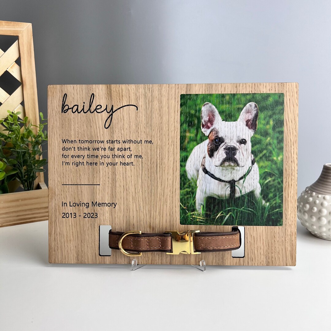 Dog Memorial Collar Holder, Dog Frame With Collar and Photo, Dog
