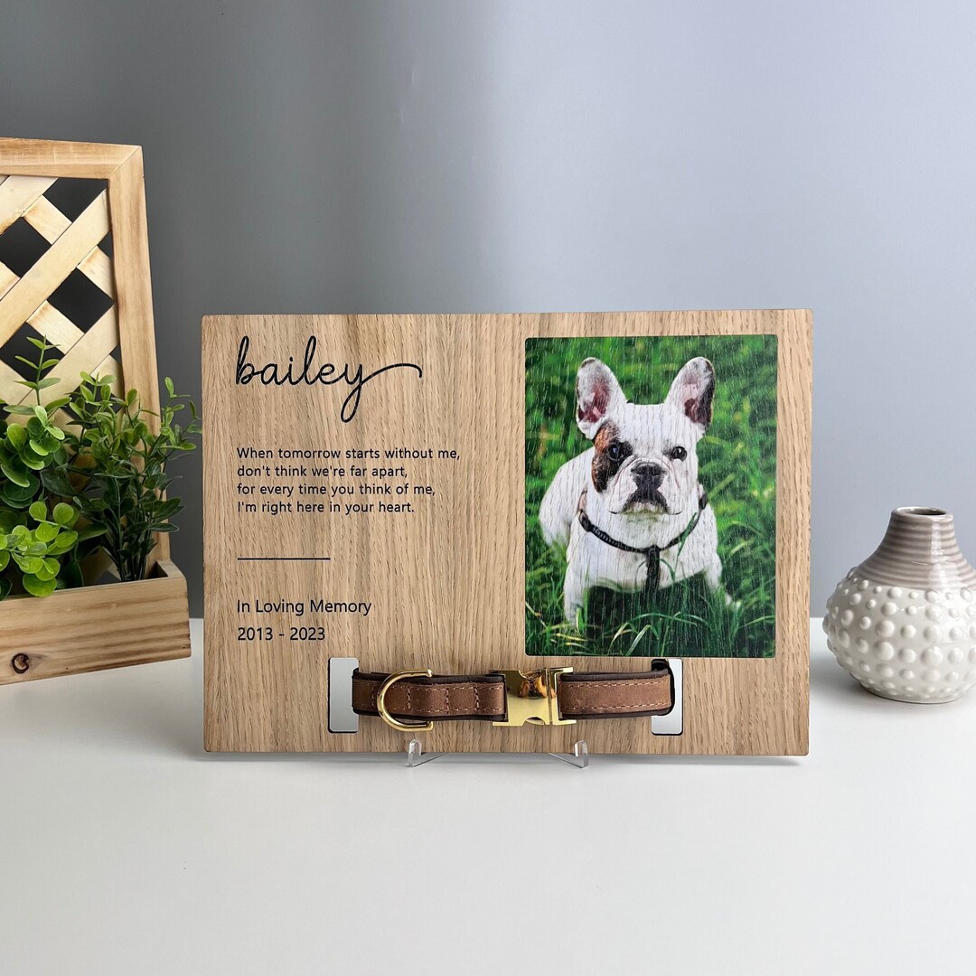 Dog Collar Frame, Lost Pet, Memorial Dog Collar Holder, Passing of a Dog Etsy