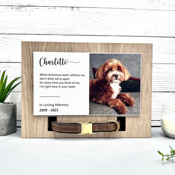 Urne personnalisée pour chien et chat, cadre commémoratif en bois pour les cendres, boîte personnalisée avec photo et support pour collier