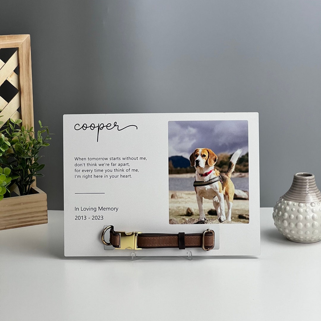 Dog Memorial Collar Sign Cat Collar Keepsake Pet Memorial Etsy