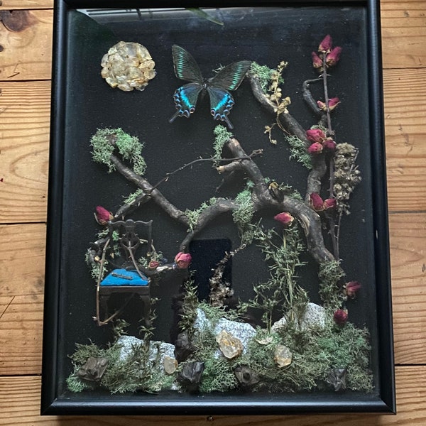 Butterfly Shadow Box Etsy