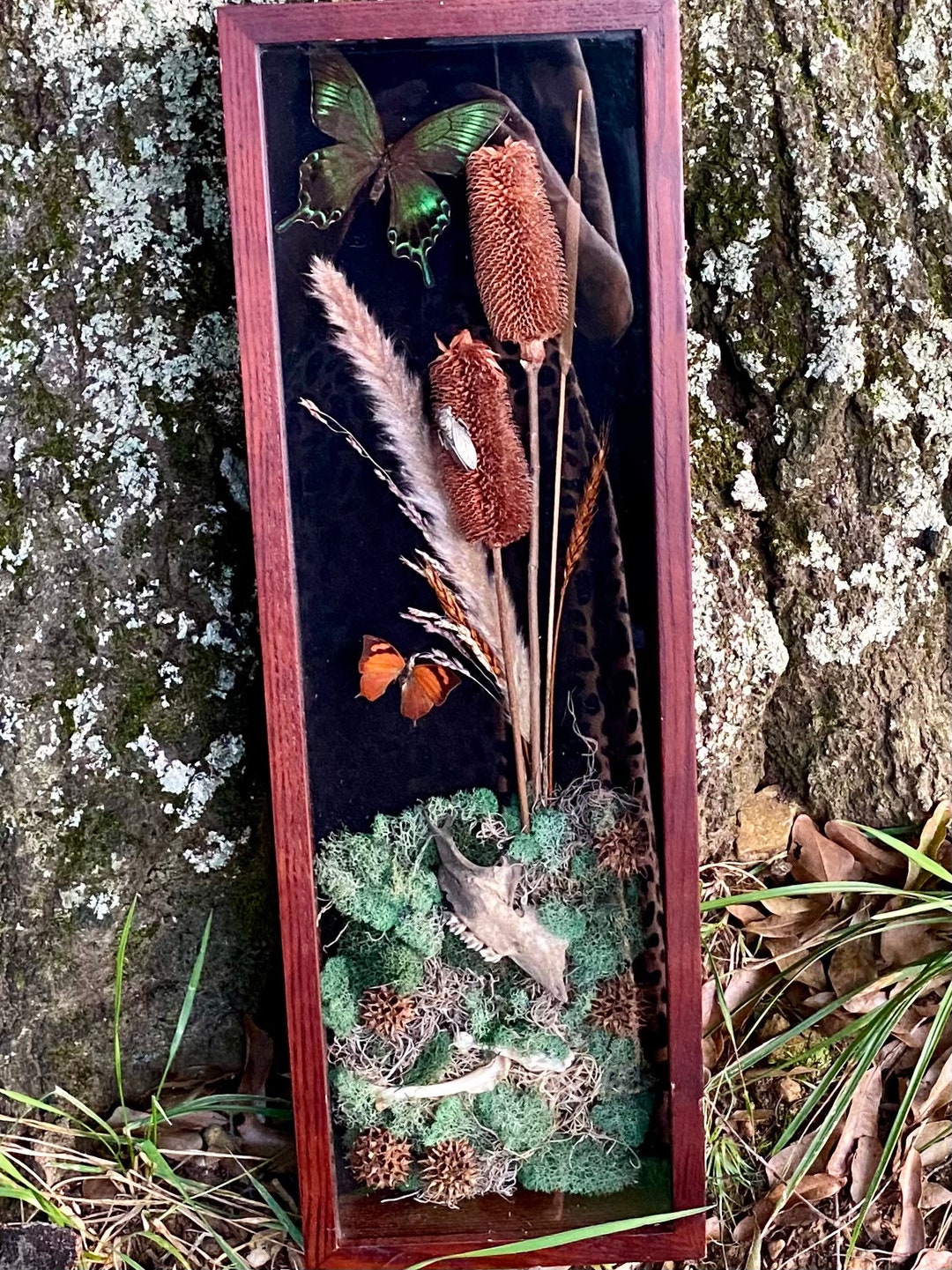 Large 2 Butterfly Shadow Box Art With Bone Etsy