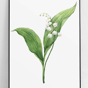 Lily of the valley Hand painted Poster, Botanical Poster, Plant Poster