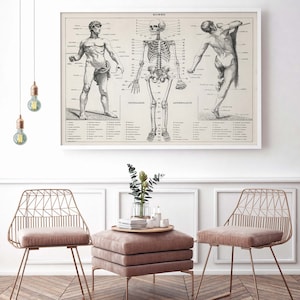 Human body - Original Poster (description in French)