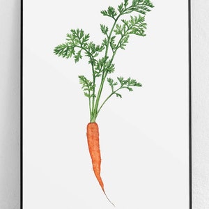 Carrot Hand painted Poster, Botanical Poster, Plant Poster