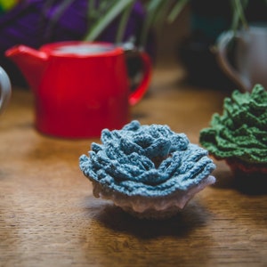 May include: Two crocheted flower-shaped decorations, one blue and one green, on a wooden table.