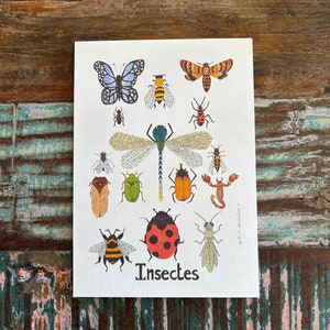 Insects Poster