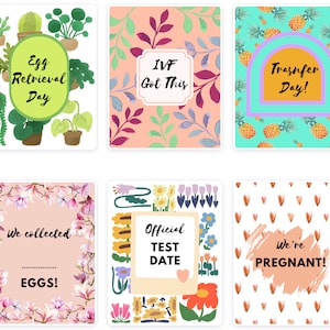 Puede incluir: Seis tarjetas ilustradas con texto relacionado con tratamientos de fertilidad. Las tarjetas presentan diseños florales y de frutas, con frases como "Egg Retrieval Day", "IVF Got This" y "We're PREGNANT!".