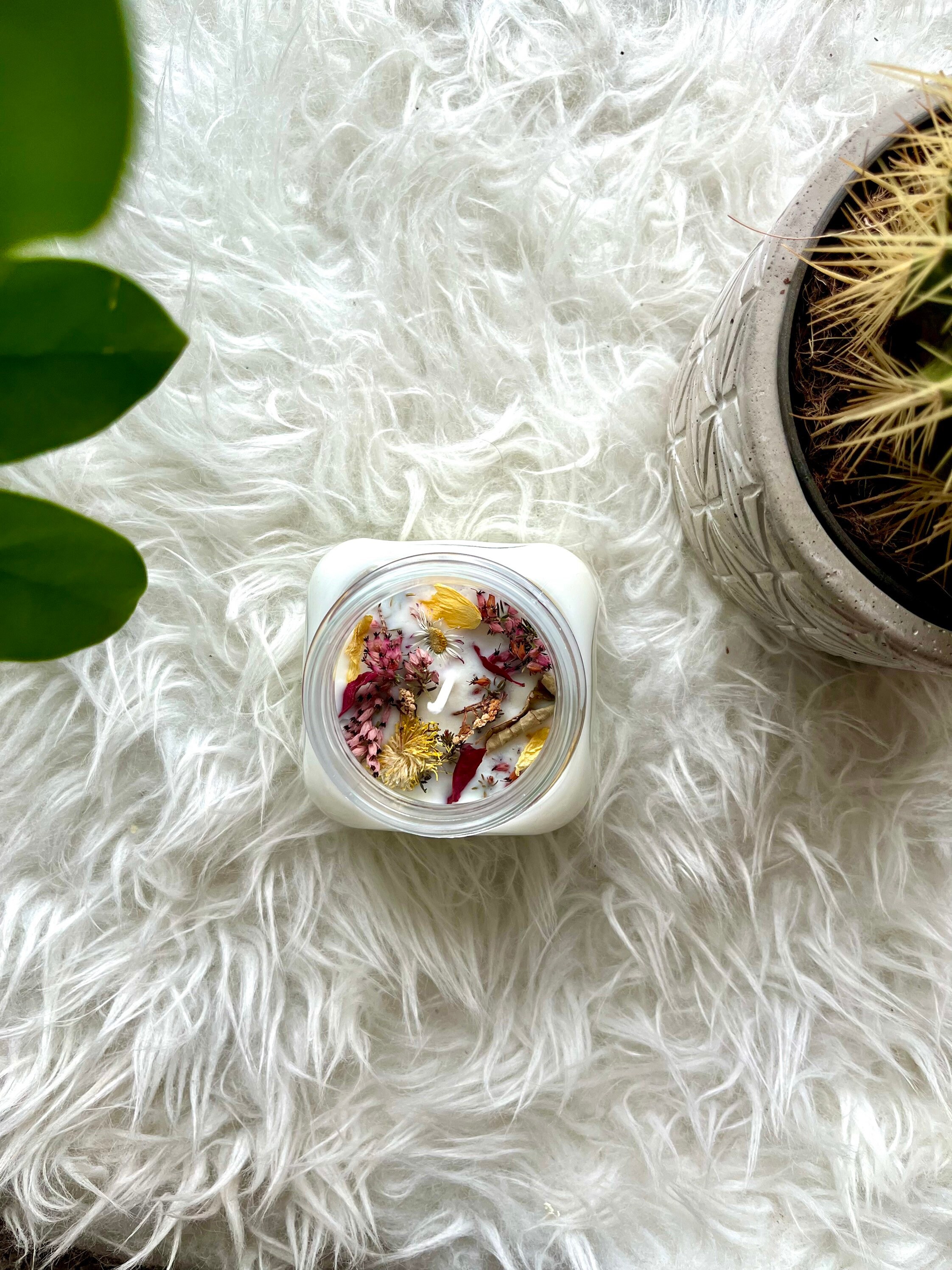 Bougie Purifiante Eucalyptus